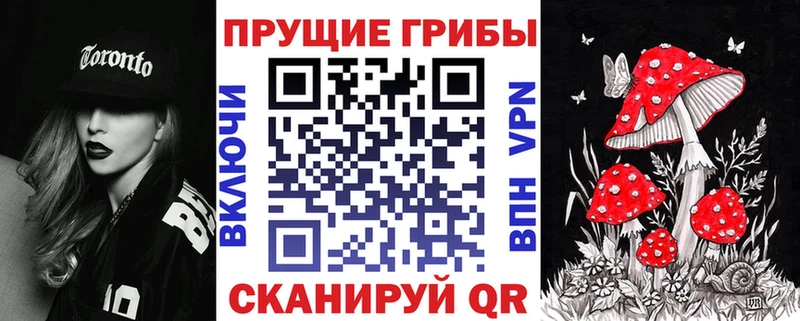 OMG рабочий сайт  Лиски  Псилоцибиновые грибы мицелий 